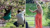 Cherry blossoms under attack by branch-shaking social media influencers at Brooklyn Botanical Garden