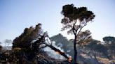 Firefighters tackle blazes on Greek islands of Chios and Kos as premier warns of 'dangerous summer'