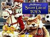 Secret Life of Toys