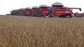 EUA vendem 428,9 mil t de soja da safra 2023/24 na semana até dia 2, diz USDA Por Estadão
