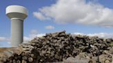 Appleton sells logs from infected ash trees, now that all of Wisconsin is quarantined for emerald ash borer