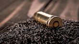 Sportsmen feel pinch of global gunpowder shortage as Chinese restrictions, Ukraine war crimp supply
