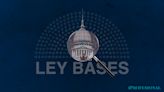 Ley Bases: qué consecuencias espera el mercado financiero si Milei logra su aprobación