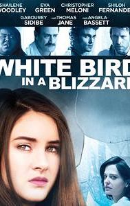White Bird in a Blizzard