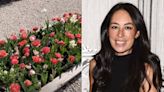 Joanna Gaines Gives a Tour of Her Lush Garden Where 'Everything Had Bloomed' After Her Family's Vacation