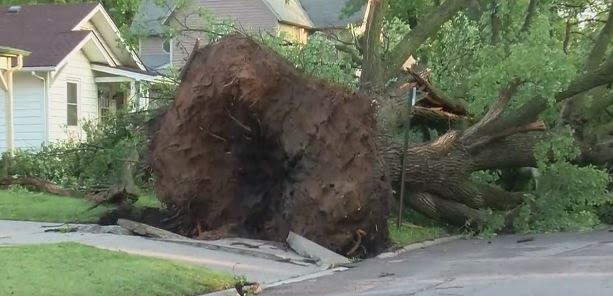 Severe storm causes damage across Newton