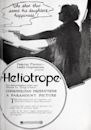 Heliotrope (film)