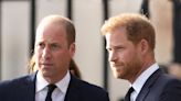 William et Harry : ce bien cher à leur mère Diana dont ils n'hériteront pourtant pas