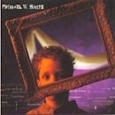 The Big Picture (Michael W. Smith album)