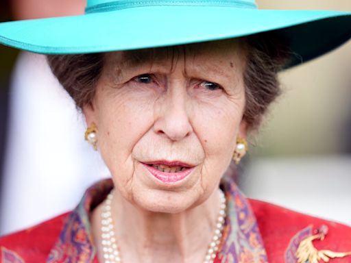 Royal news – live: Palace provides update as Princess Anne hospitalised after ‘being kicked by horse’