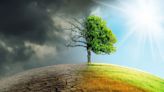 Economic Survey seeks to promote Indian way of tackling climate change