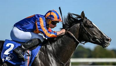 Aidan O'Brien still aiming Auguste Rodin at Tattersalls Gold Cup