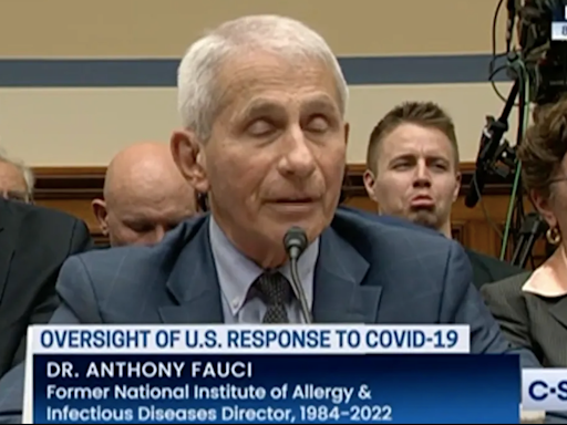 A man sat behind Fauci pulling faces at him in fiery House Covid hearing. But who is he?