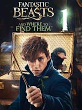 Fantastic Beasts and Where to Find Them (film)