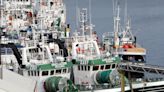 Greenpeace advierte del avance de la sobrepesca e insta a ratificar el Tratado de Alta Mar