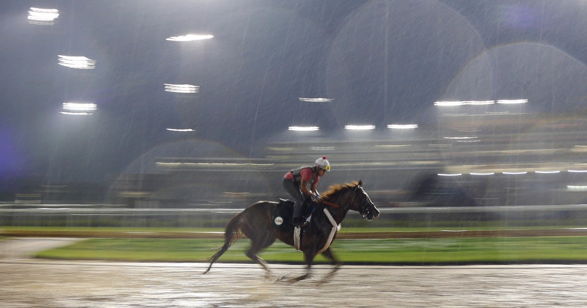 Here are the horses competing in the 2024 Kentucky Derby