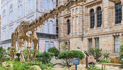 Natural History Museum opens new urban gardens complete with bronze dinosaur