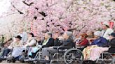 日本失智症高齡者 2040年估584萬人 超市推「慢收銀」│TVBS新聞網