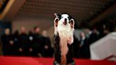 Cannes 'Palm Dog' goes to mutt on trial