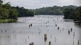 Una sequía afecta al Canal de Panamá. Y el comercio internacional lo resiente