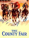 The County Fair (1920 film)