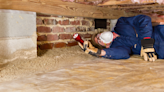 The cost of termite treatment (2024 Guide) | CNN Underscored