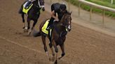 Former Phillies outfielder Jayson Werth has a stake in Kentucky Derby contender