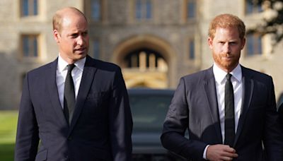 Prince Harry's inheritance payday on 40th birthday to eclipse Prince William's cut as 'the spare': expert