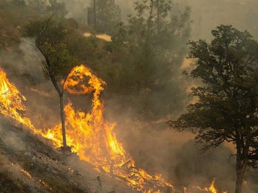 Park Fire update: Northern California blaze now 6th-largest wildfire in state history