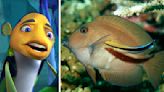 These Side-By-Side Photos Show How 14 Animated Animals Compare With Their Real-Life Counterparts