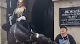 Tourist Screams in Pain, Faints After King's Guard Horse Bites Her | Video