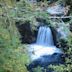 Little Qualicum Falls Provincial Park