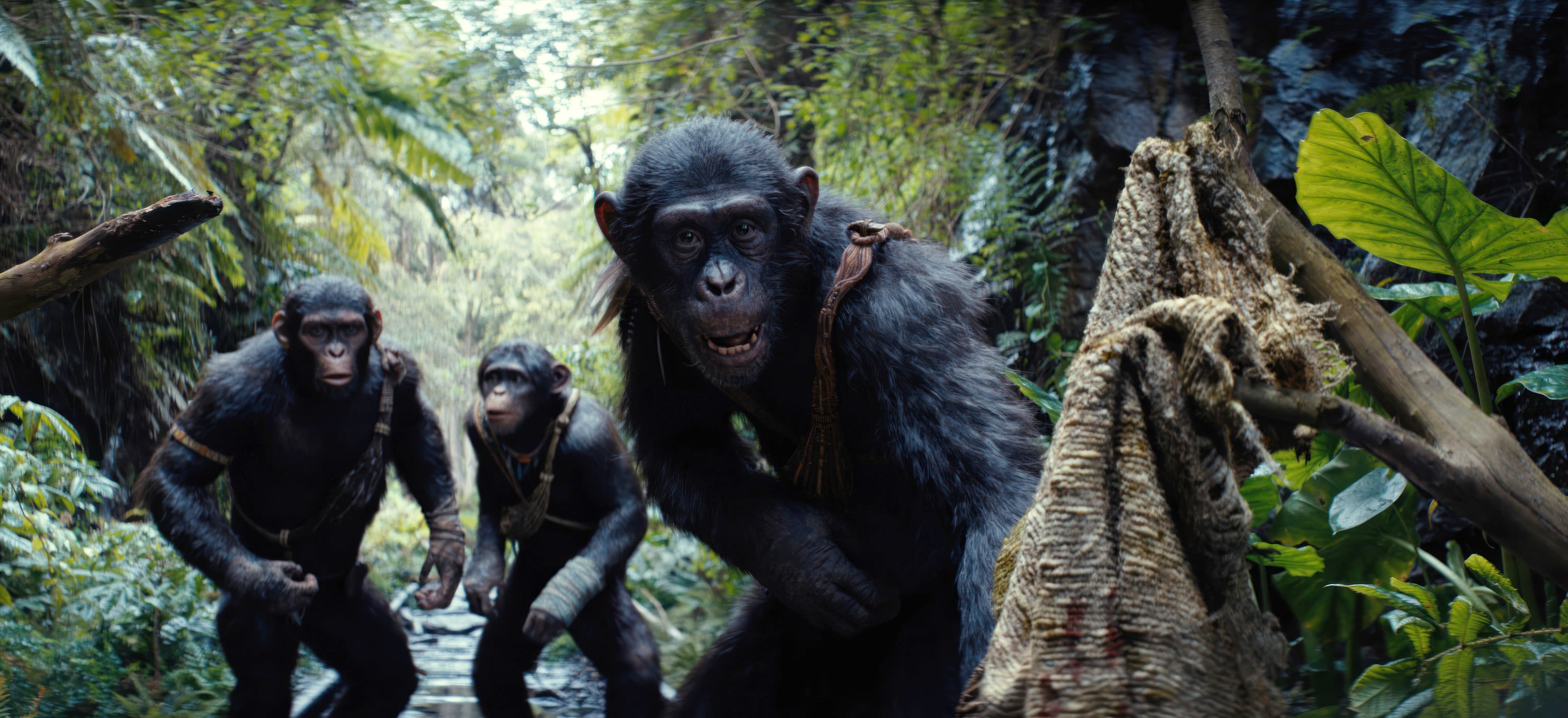 ‘Kingdom Of The Planet Of The Apes’ Invades Hulu In August