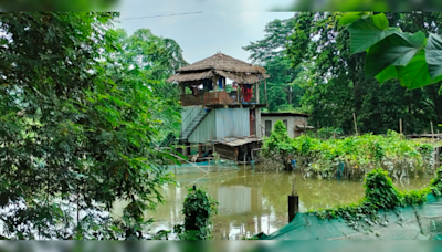 Assam Floods: 24 Lakh Affected, Situation Deteriorates In Hatishila And Chandrapur