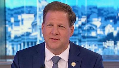 Chris Sununu's Advice For Politicians Running For Office: Hold A Puppy & Put One In Your Commercial, No One Jumps Across...