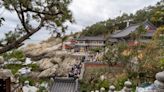 釜山櫻花季最宜拜訪海東龍宮寺 驚濤駭浪中向佛祖祈求世俗願望