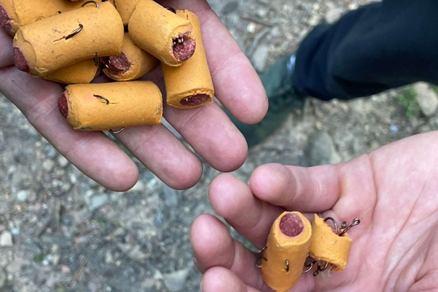 Authorities Warn of Fish Hooks Found in Dog Treats on Appalachian Trail: 'Deadly to Any Animal'