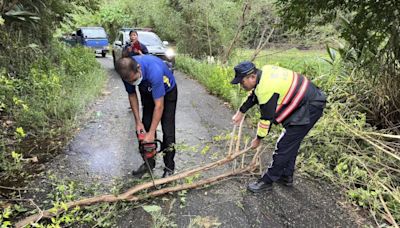 路樹倒塌花蓮玉里警速排除 守護用路人行車安全 | 蕃新聞