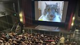 I Went to a Movie Theater to Watch 73 Minutes of Cat Videos