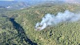 Wildfire near Peachland is now being 'held'