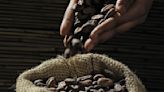 Colombia: Piden excluir al chocolate real de reforma tributaria