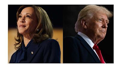 Kamala Harris repudió el tiroteo cerca de Donald Trump y ratificó que “la violencia no tiene lugar en EEUU”