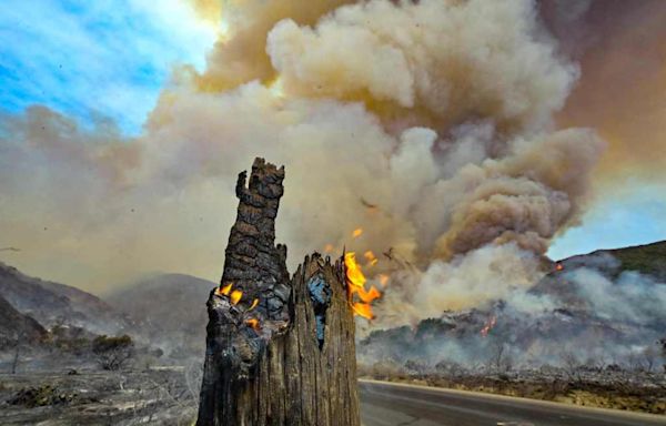 Spurred by heat wave, wildfires rage across Southern California