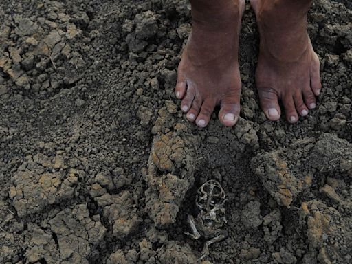 "Grande Seca": a tragédia climática que matou 500 mil pessoas no Nordeste entre 1877 e 1879 - Diálogos do Sul