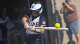 Top Ann Arbor-area softball teams dominate in districts