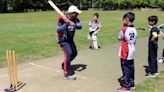 Cricket World Cup is coming to NYC suburbs, where sport thrives in immigrant communities