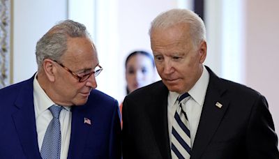 Chuck Schumer had 'blunt' private conversation with Biden about the state of the race