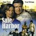 Safe Harbor - Un porto sicuro