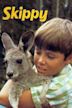 Skippy the Bush Kangaroo