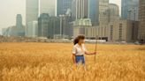 A pioneering artist once planted two acres of wheat in New York City as an act of rebellion. Now, a new field rises